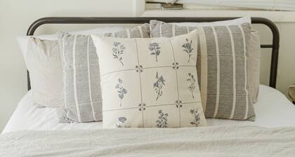 ORV Trail + Mont Ripley Deal!