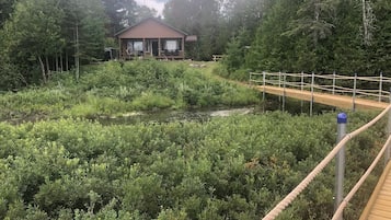 Step across the bridge to a serene retreat with a spacious porch and lush surroundings.