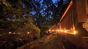 Un train traverse une zone boisée de nuit, et on aperçoit des lumières au loin.