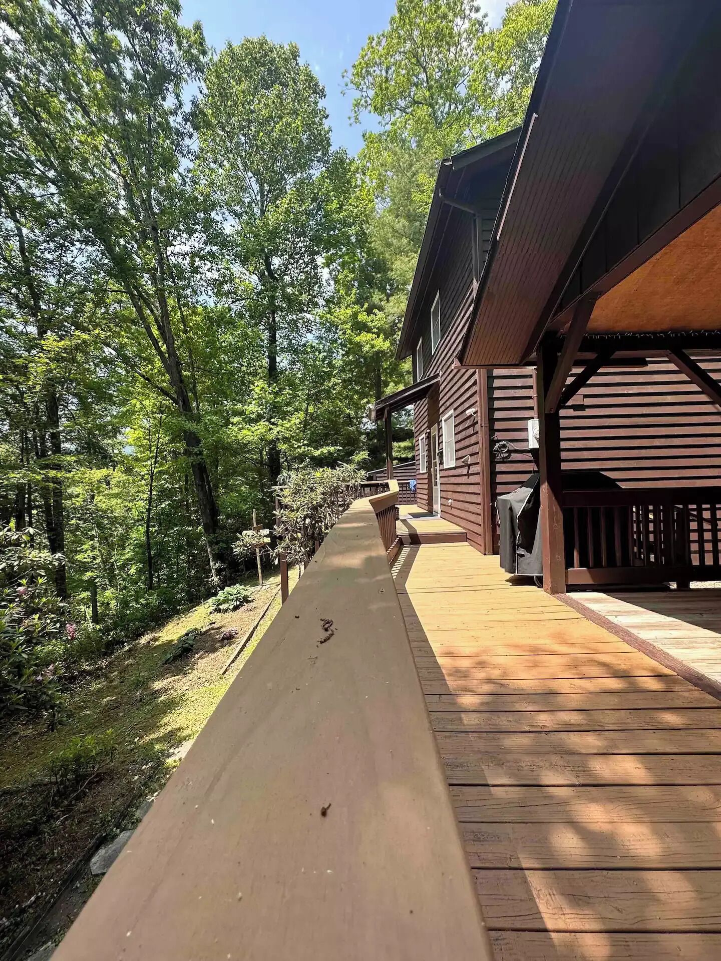 A wooden deck leading to a cabin with a covered porch, surrounded by dense trees.