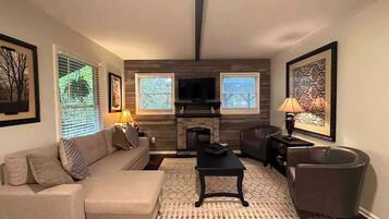 TV connectée, cheminée, lecteur de DVD, livres