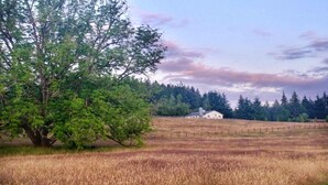 Un paisaje rural con un árbol grande, un campo de cultivo y un edificio blanco a lo lejos.