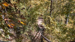 A stone pathway with wooden railings leading through a wooded area. - Luxury Spacious Glamping, Lake View, Grill, Pool, Pet Friendly, Swim (Delta)