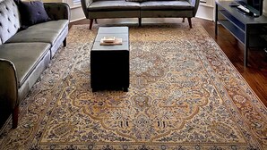 Un salon comprenant un canapé, une table basse et un téléviseur. De grandes fenêtres sont équipées de stores, et la pièce est agrémentée d’un lustre et d’un tapis à motifs.