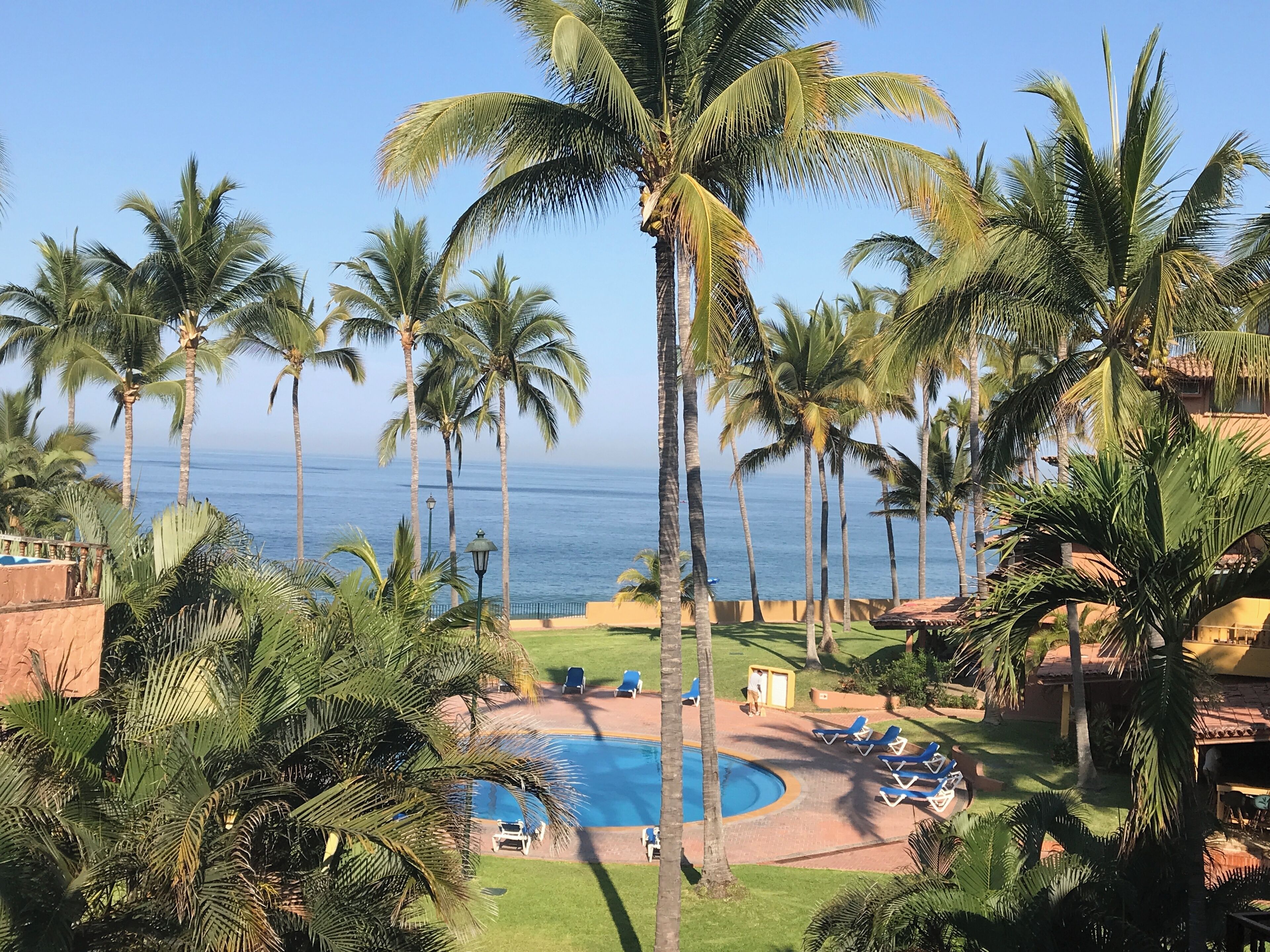 Beautiful oceanfront condo amid the palms of Los Tules