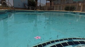 A swimming pool with clear water, marked depth lines, and a pink flower floating on the surface. - GO2 Inn & Suites by Relianse  (El Paso)