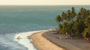 A beach with palm trees, a sandy shore, and a calm sea. - Melhores Flats (João Pessoa)