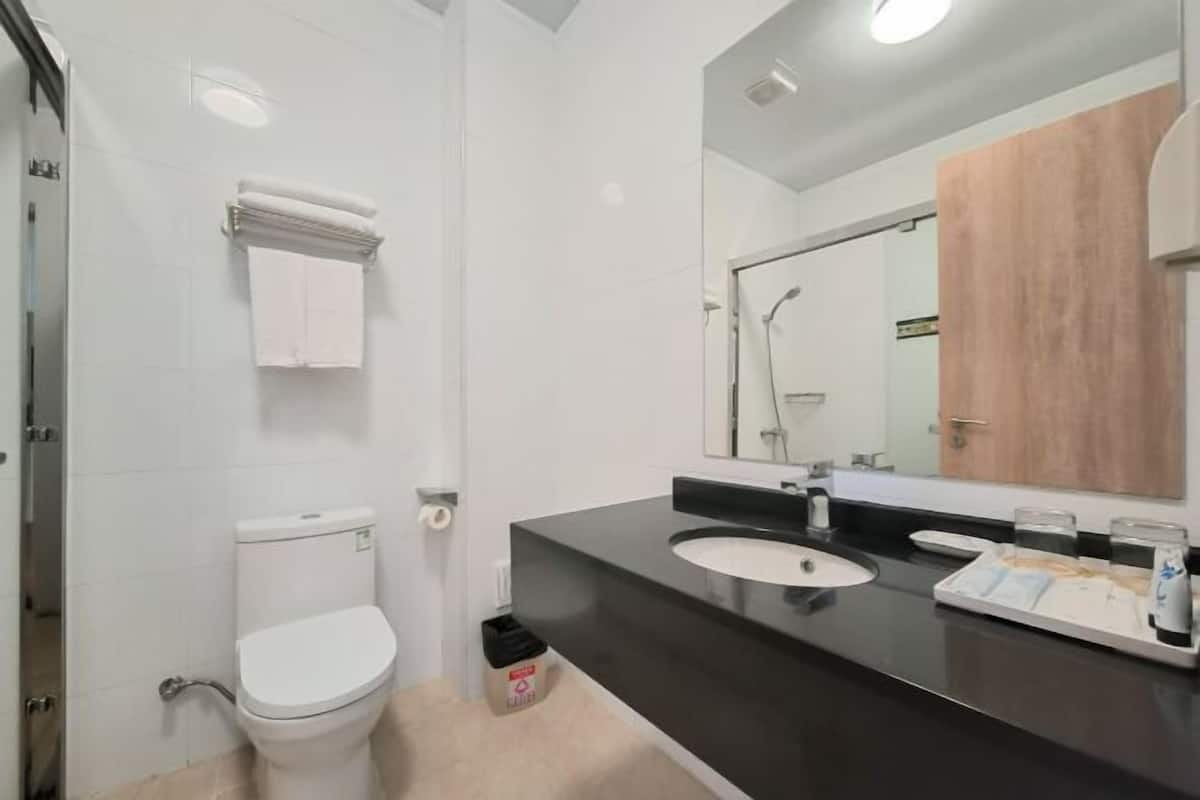 A modern bathroom with a toilet, sink, and mirror.