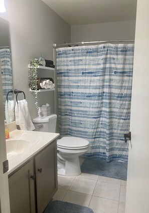 Hair dryer, towels, soap, shampoo