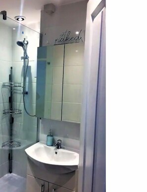 Hair dryer, towels, toilet paper