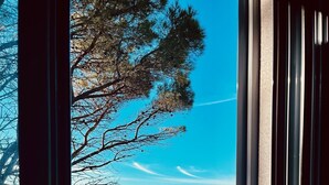 A view through a window with a clear sky, trees, and a distant coastline.