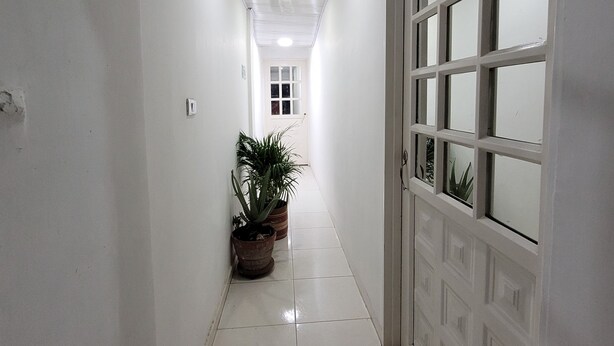 Un pasillo estrecho con paredes blancas y suelo de baldosas, que conduce a una puerta de garaje con varias ventanas. Hay dos plantas en macetas a lo largo de la pared.