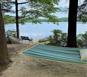 Relax in a serene hammock or on a nearby bench, surrounded by a tranquil forest and calm water.