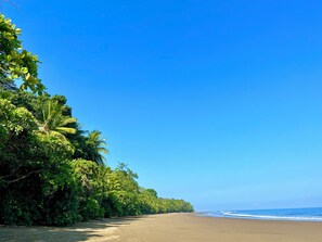 Sun loungers, beach towels - Luxury, Comfort, Security & Walk to the Beach to Enjoy the Best of Costa Rica (Provincia de Puntarenas)