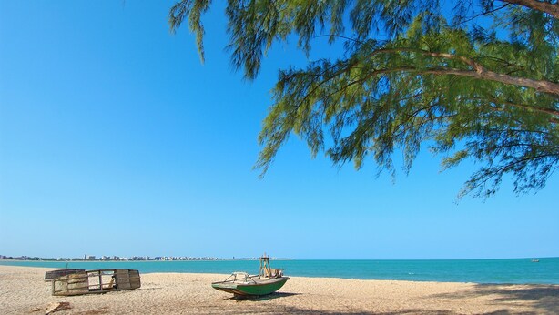 A beach with a boat and wooden crates on the sand. - Melhores Flats (João Pessoa)