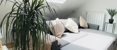 Iron/ironing board, free WiFi