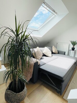 Desk, iron/ironing board, free WiFi - Modern townhouse - Private Garden (Differdange)