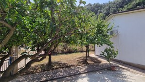 A courtyard with trees, a white building, and a potted plant. - Room in cottage Holiday home in Palmi. (Palmi)