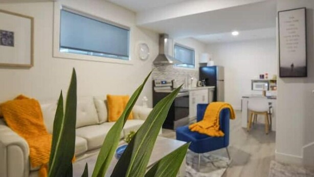 Un salon moderne avec un canapé, un fauteuil bleu et une grande plante.