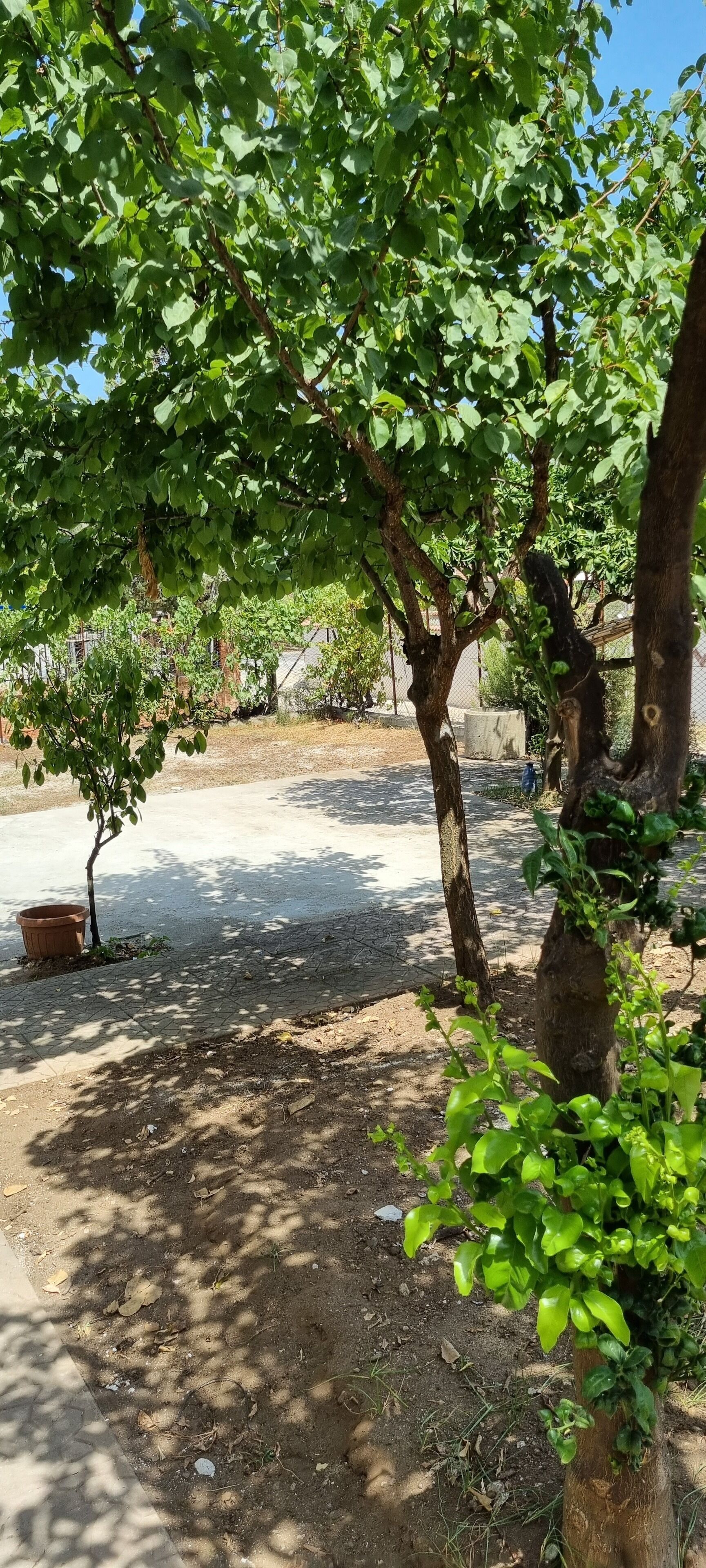 Áreas de la propiedad