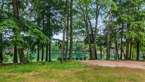 Un cadre naturel avec un lac, des arbres et un sentier de terre.