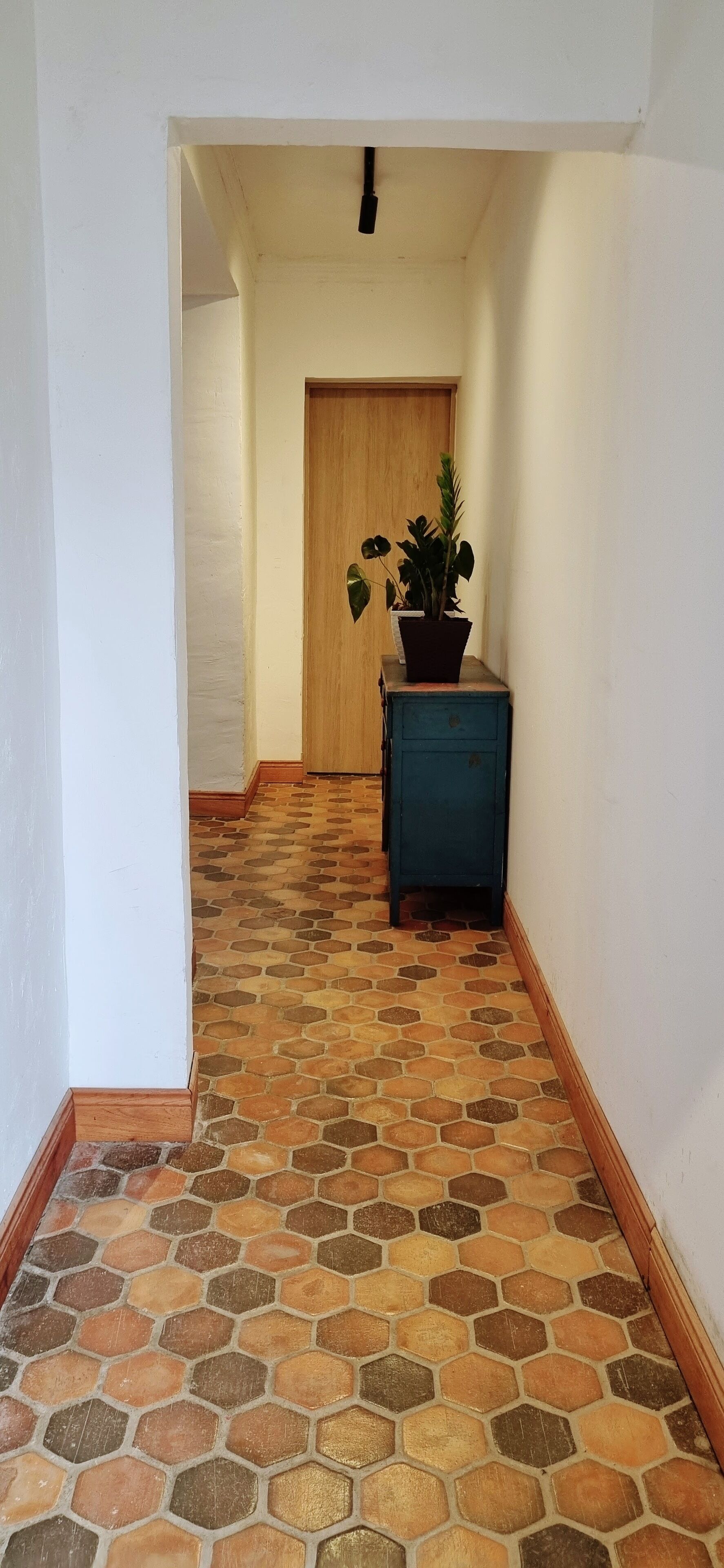 A hallway with a tiled floor, a wooden door at the end, and a small blue cabinet with a potted plant.