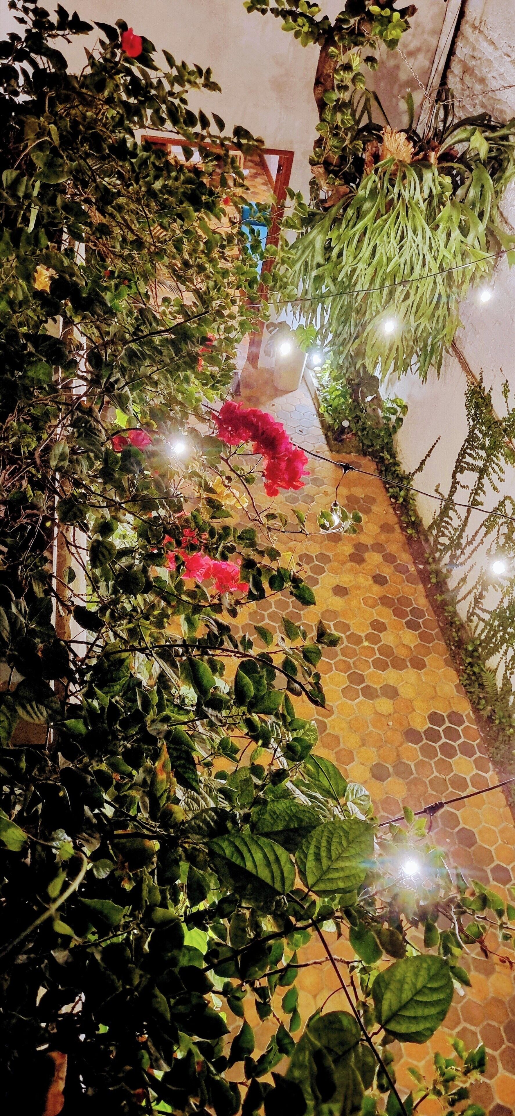 Un étroit sentier bordé d’une végétation luxuriante et de plantes suspendues, qui mène à une porte ornée d’une fleur rouge.