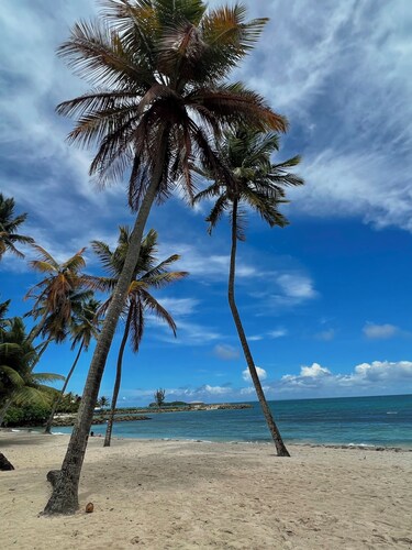 Location Saisonnière Appartement à Gosier Proche des Plages, Hôtels et du Casino