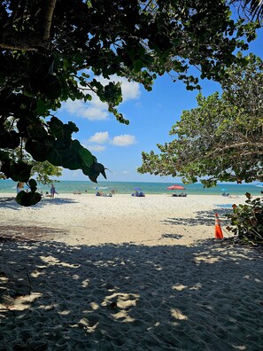 Sun loungers, beach towels