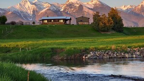 Une cabane rustique avec un toit en métal, entourée d’un champ verdoyant et traversée par un petit ruisseau.