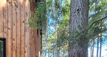 Off Grid Getaway. Water Access only! Luxury in the woods.