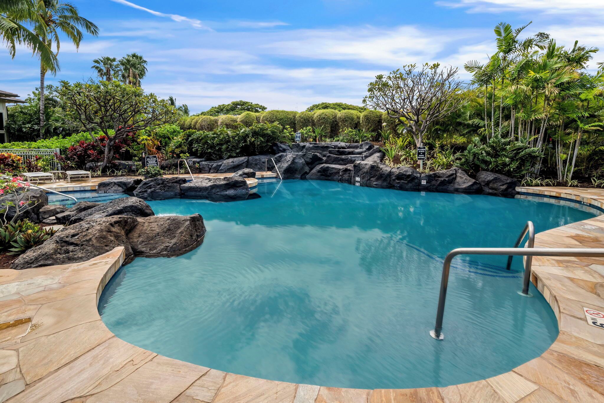 A pool with a natural rock design, surrounded by tropical plants and palm trees.