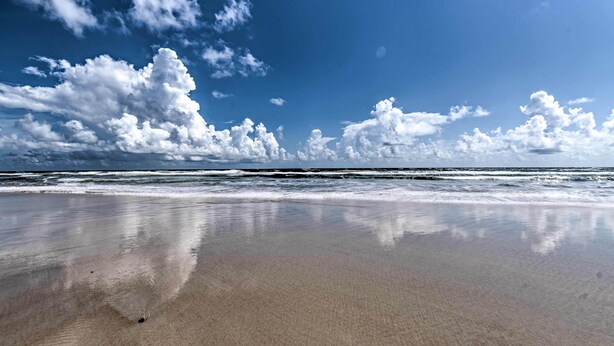 A beach with a clear sky and ocean waves. - Daytona Beach Studio w/ Ocean View + Amenities! (Daytona Beach)