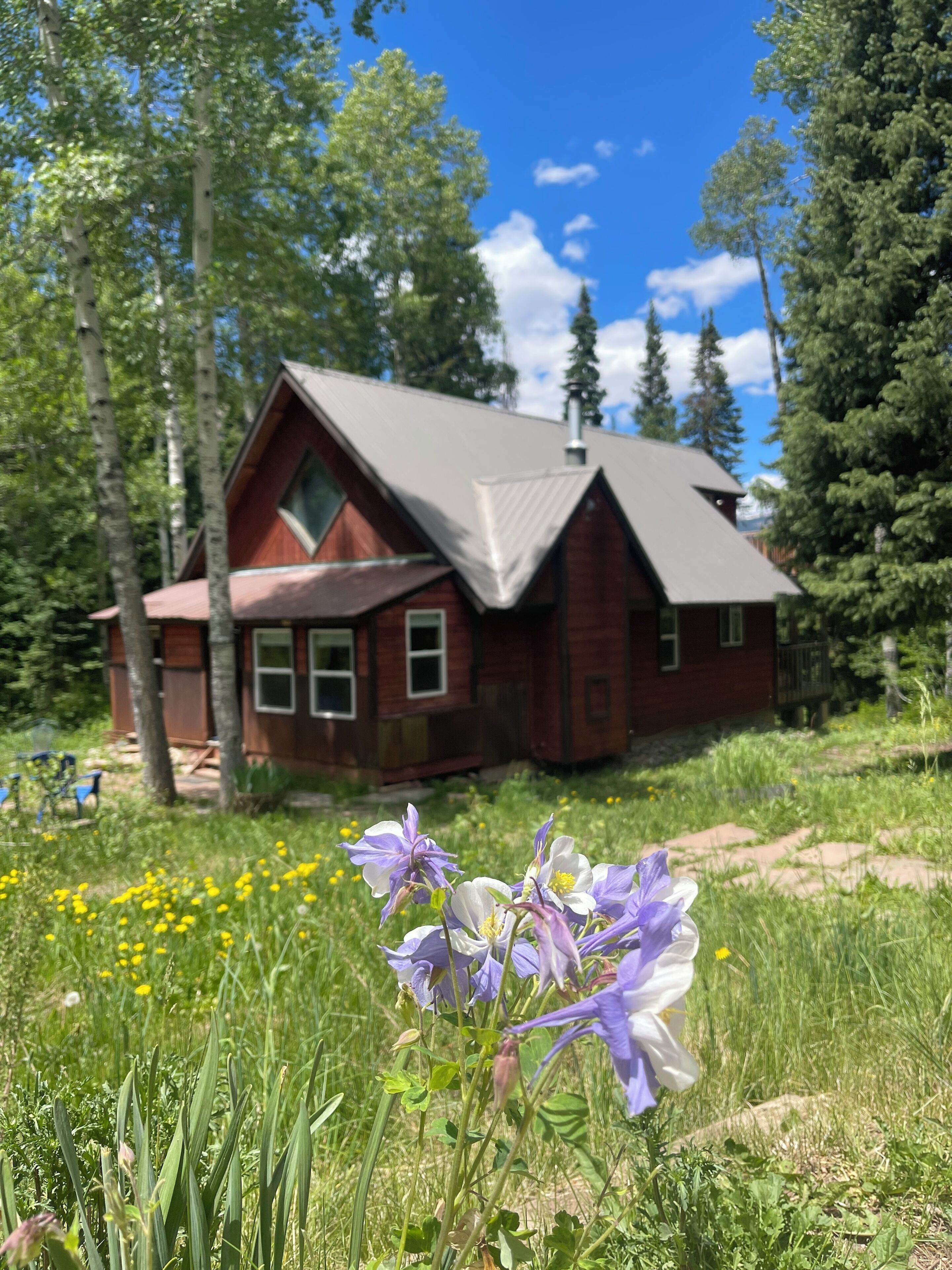 Peaceful mountain cabin 1/2 way between Durango and Silverton