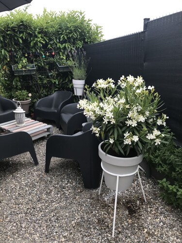 Location Vacances Maison Plein Pied Avec Parking Gratuit et Jardin