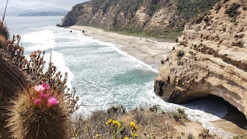 Playa