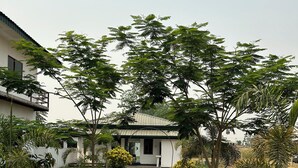 A pathway leading to a building with a white exterior and a metal roof, surrounded by greenery and trees. - Tiger Wildlife Resort (Jagatpur)