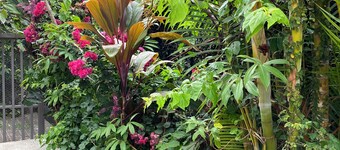 Beautiful apartment in a very exclusive and quiet area surrounded by nature.