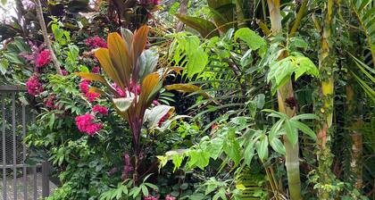 Beautiful apartment in a very exclusive and quiet area surrounded by nature.
