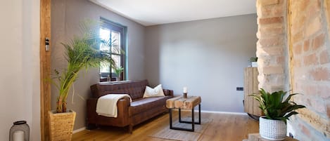 Televisión, chimenea