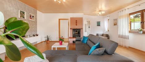 تلفزيون، مدفأة