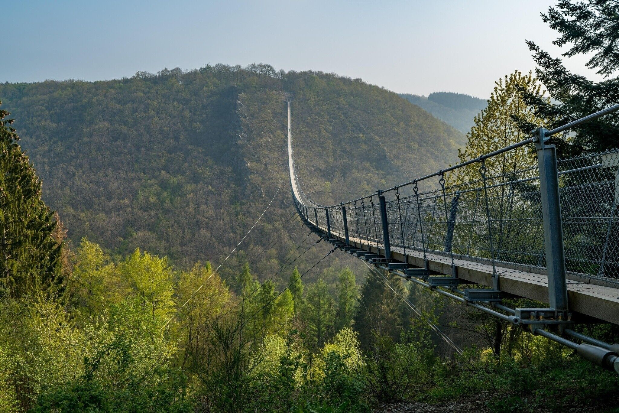 A suspension bridge with a metal railing, surrounded by dense forest and hills.