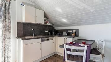 Fridge, oven, stovetop, dishwasher