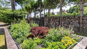 Un jardin où l’on trouve une grande variété de plantes et un banc en bois.
