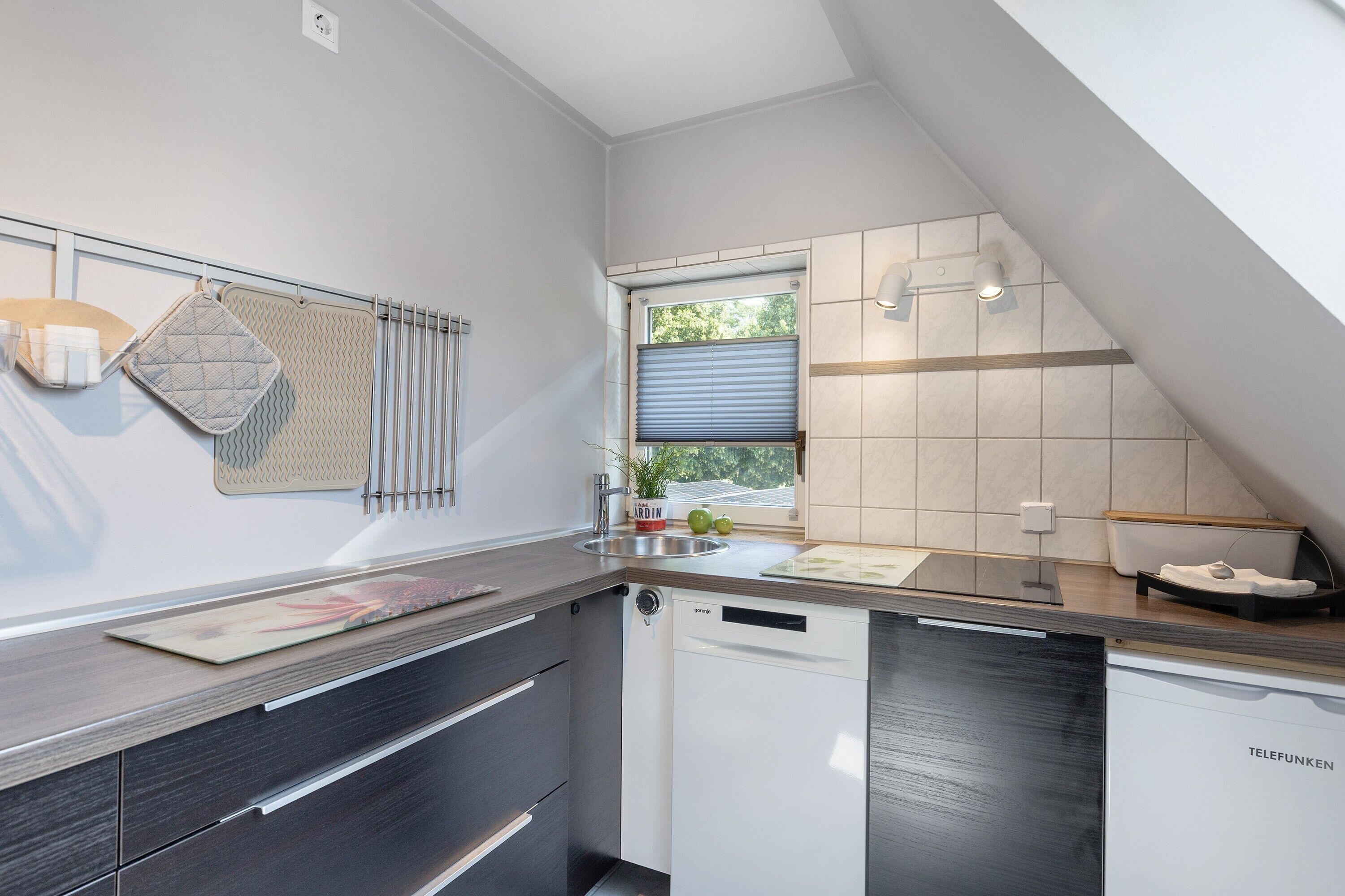 Kühlschrank, Herdplatte, Geschirrspüler