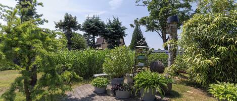 Àrea exterior de l'allotjament