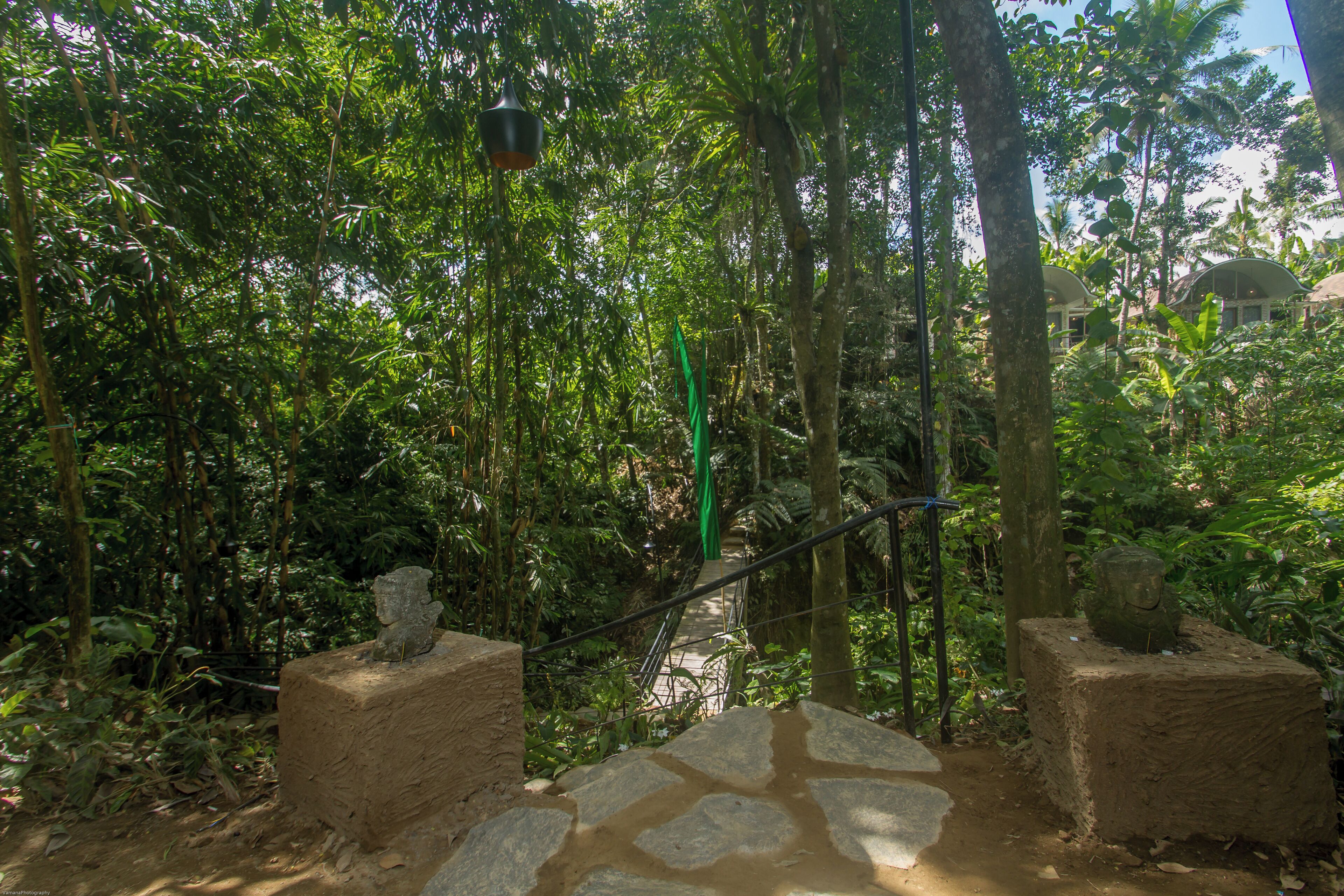 A stone staircase surrounded by dense tropical foliage, leading to a covered area with a view of a building in the background.