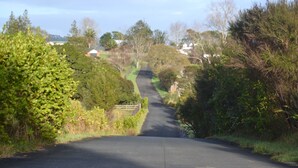 A rural road flanked by dense vegetation and houses in the distance.