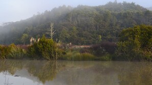 A natural landscape with a body of water reflecting trees and vegetation, surrounded by a forested hill.