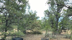A wooden picnic table in a natural setting with trees and a fire pit in the background. - Catch your breath in the beauty of Hope Acres (Strawberry)